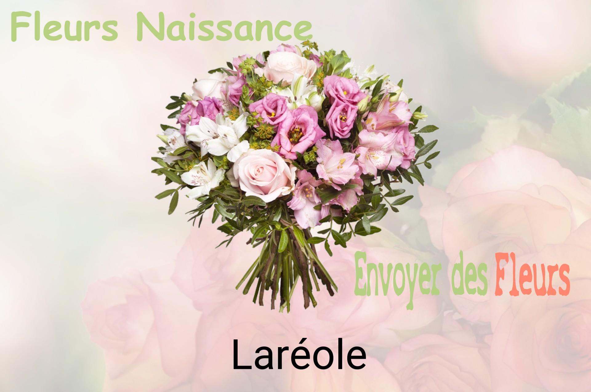Bouquet de fleurs de naissance livré à Laréole