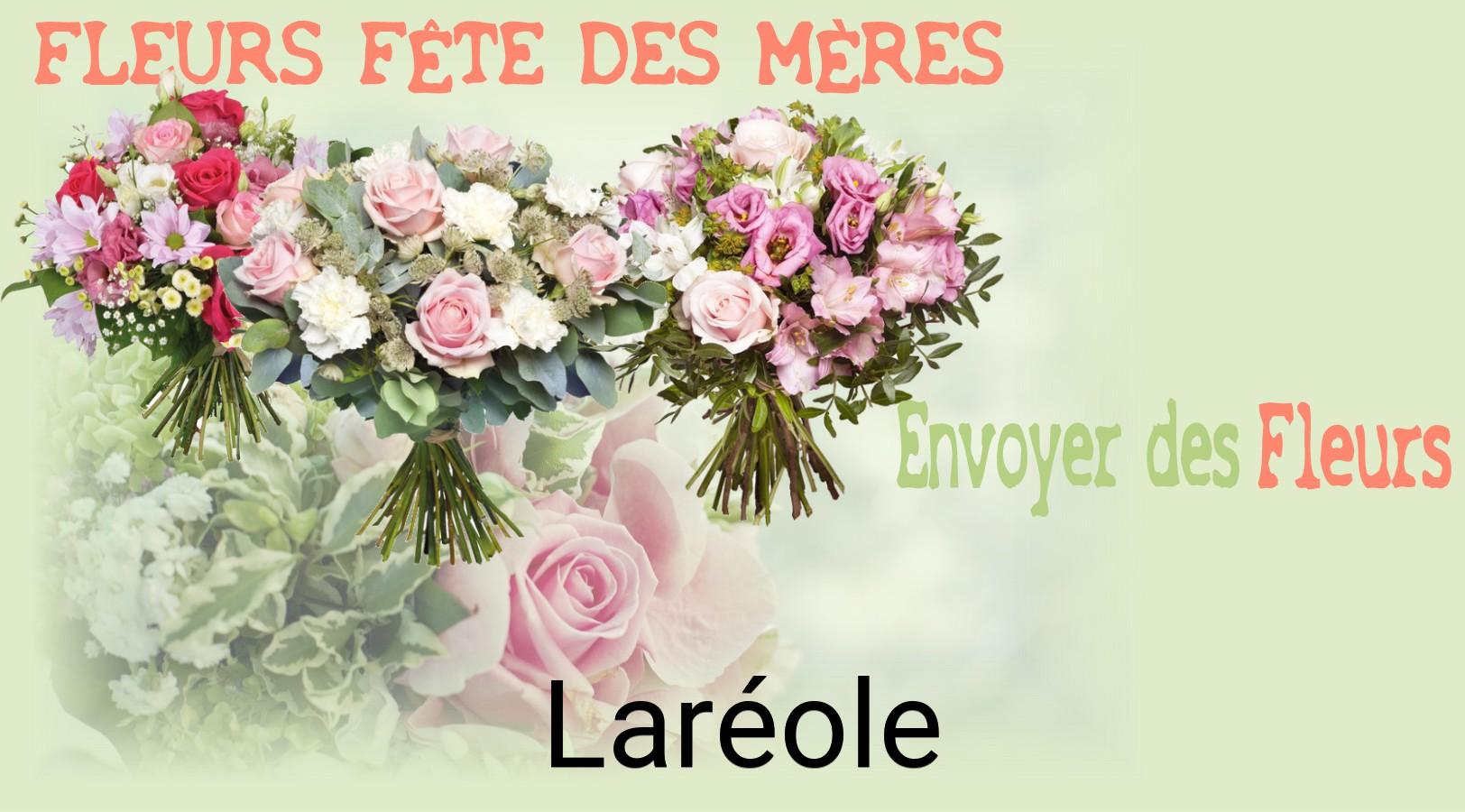 Bouquet de Fête des Mères livré à Laréole